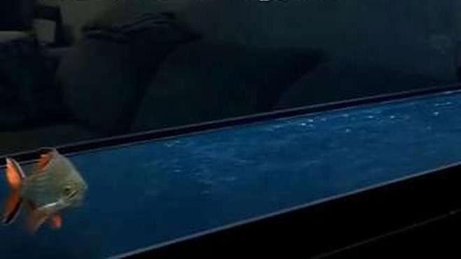 龍魚過濾材料多久清洗一次？（關(guān)于龍魚過濾材料清洗頻率的詳細(xì)分析）