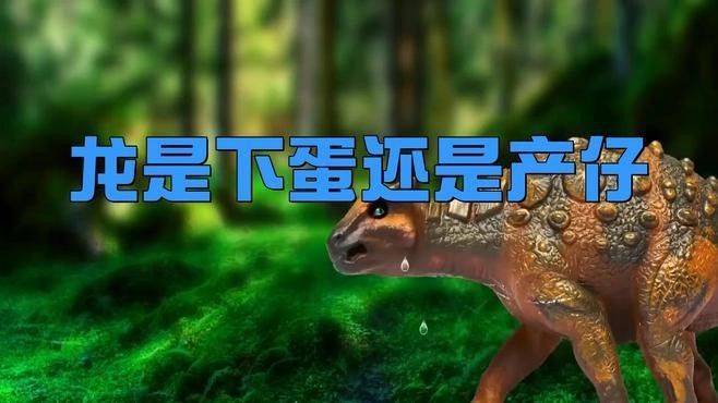 哪些恐龍是卵生，哪些是胎生（卵生恐龍和胎生恐龍的生殖方式特殊案例分析恐龍是卵生還是胎生） 哪些恐龍是卵生，哪些是胎生（卵生恐龍和胎生恐龍的生殖方式特殊案例分析恐龍是卵生還是胎生） 龍魚百科 第2張
