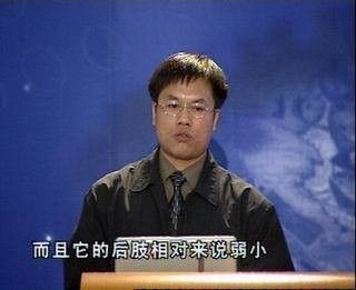 哪些恐龍是卵生，哪些是胎生（卵生恐龍和胎生恐龍的生殖方式特殊案例分析恐龍是卵生還是胎生） 哪些恐龍是卵生，哪些是胎生（卵生恐龍和胎生恐龍的生殖方式特殊案例分析恐龍是卵生還是胎生） 龍魚百科 第7張