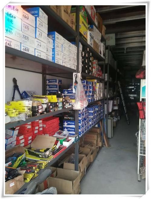 哪里可以找到更多金龍素材（如何獲取金龍素材）