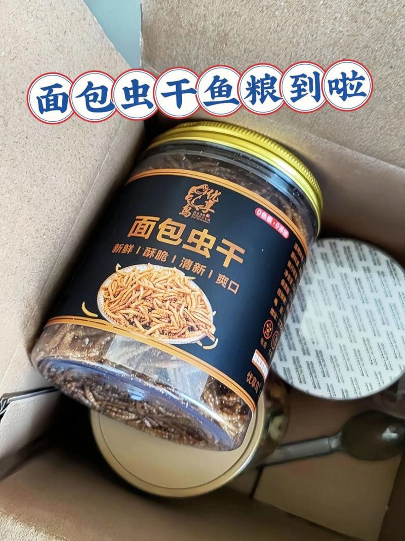 火龍魚除了面包蟲還能吃什么（中國小火龍魚吃什么食物光影動創工坊火龍魚吃什么環球眼）