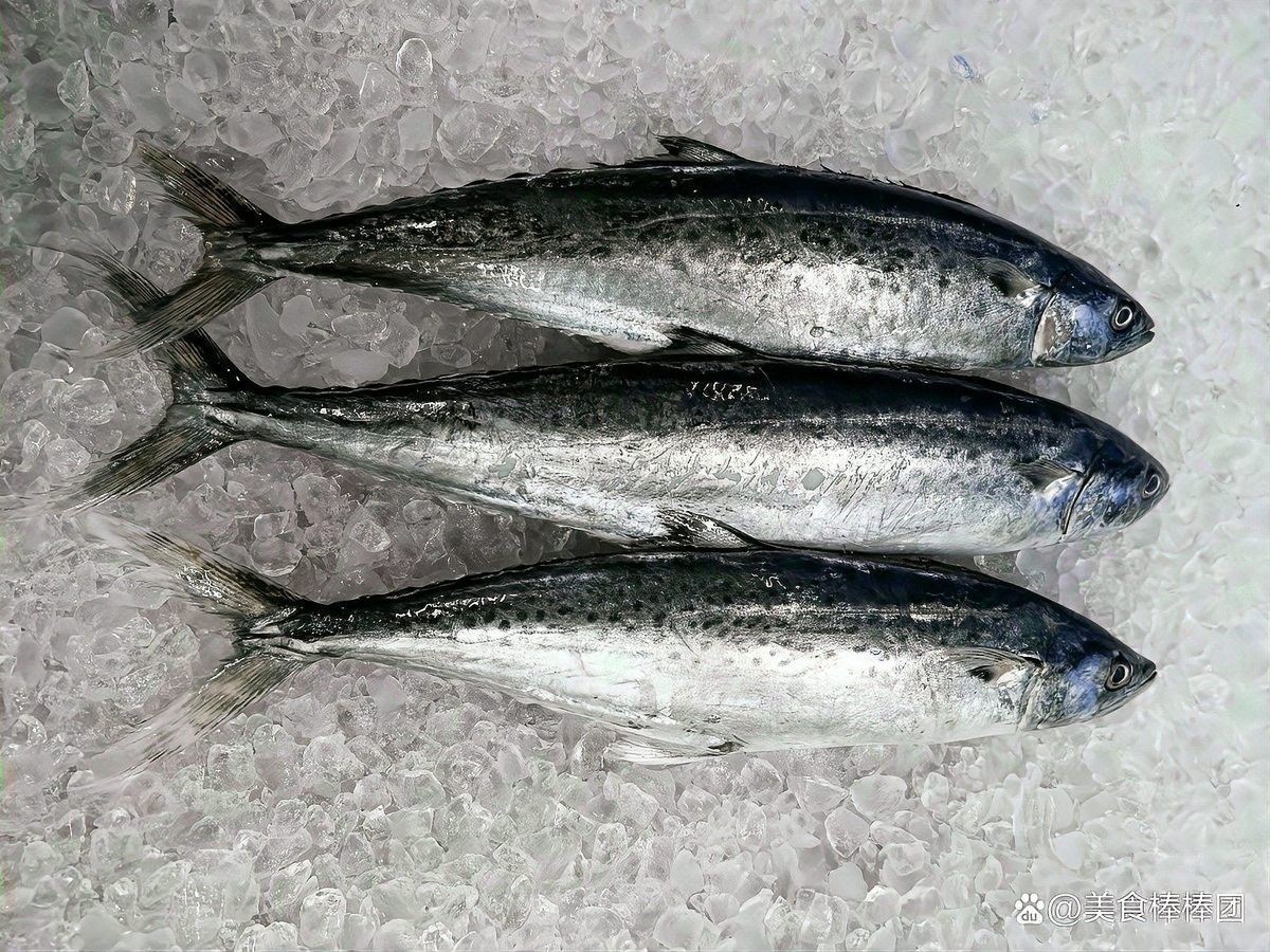 來龍魚可以冷凍保存嗎（龍魚冷凍保存方法）