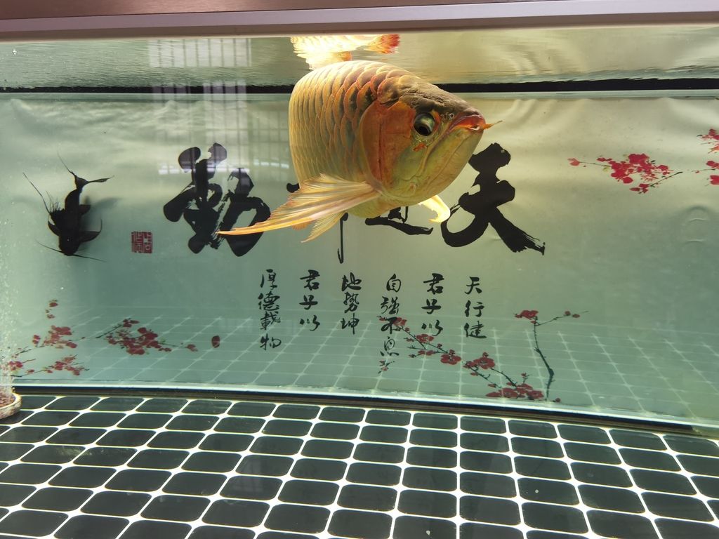 （全球變暖對生態系統產生的影響）