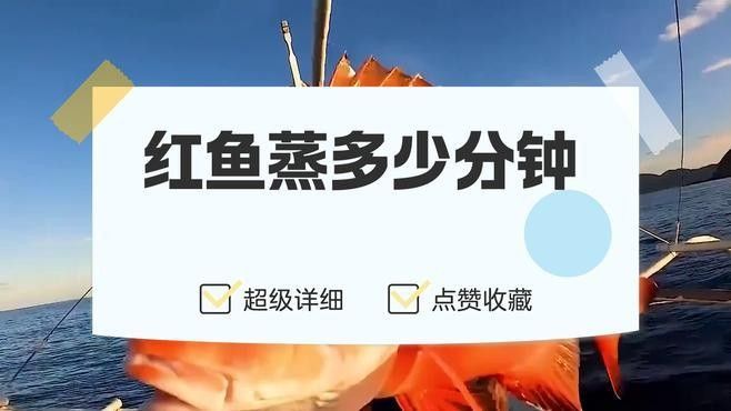 紅龍魚(yú)的最佳烹飪時(shí)間（深海紅龍魚(yú)怎么做好吃）