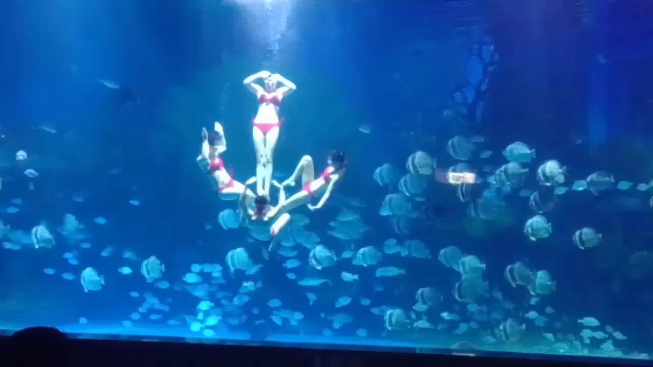 隨拍（隨拍，）