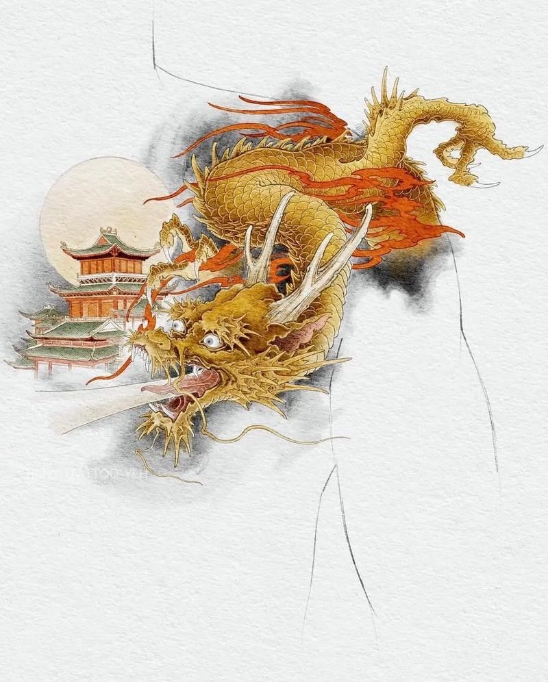 如何挑選高品質的古典藍底過背金龍（如何挑選高品質古典藍底過背金龍） 如何挑選高品質的古典藍底過背金龍（如何挑選高品質古典藍底過背金龍） 龍魚百科 第8張