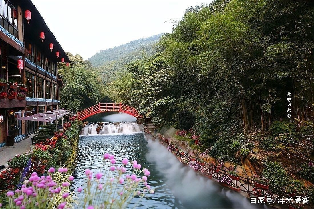 古龍魚莊有哪些特色菜品（舌尖上的清遠古龍峽這些藏在大山中的美味你吃過嗎）