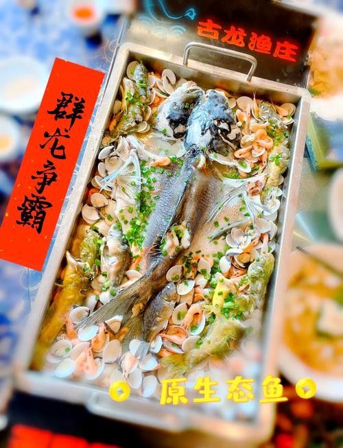古龍魚莊有哪些特色菜品（舌尖上的清遠古龍峽這些藏在大山中的美味你吃過嗎）