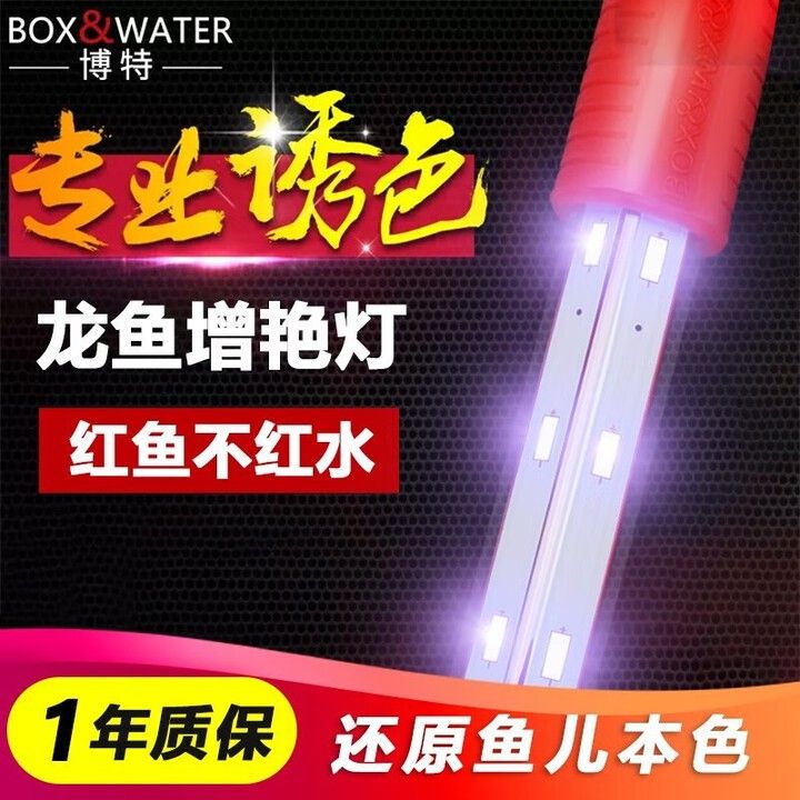 紅龍魚燈具需要多大功率（紅龍魚燈具功率大小取決于多種因素選擇紅龍魚燈具） 紅龍魚燈具需要多大功率（紅龍魚燈具功率大小取決于多種因素選擇紅龍魚燈具） 龍魚百科 第4張