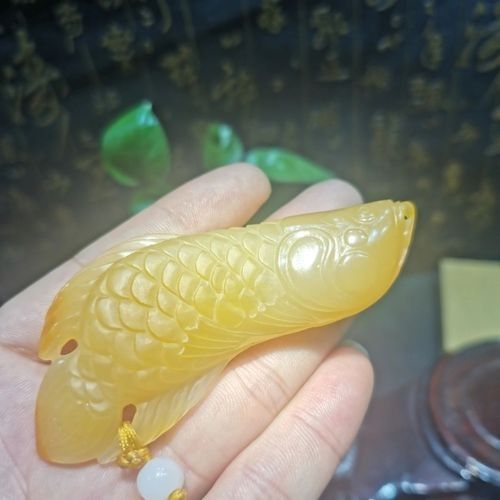 2條龍魚打架一般多久不，2條龍魚打架一般多久不，其性格和行為模式對(duì)飼養(yǎng)者來說是有趣的