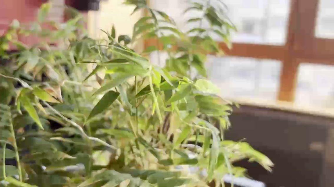 潛入（潛入是一個復雜而多面的主題）