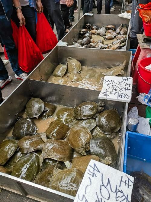 有哪些信譽漁場可以推薦？（信譽漁場推薦指南）