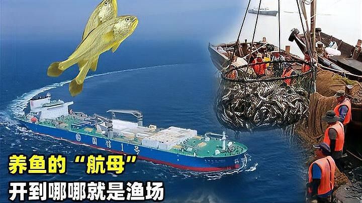 有哪些信譽漁場可以推薦？（信譽漁場推薦指南）