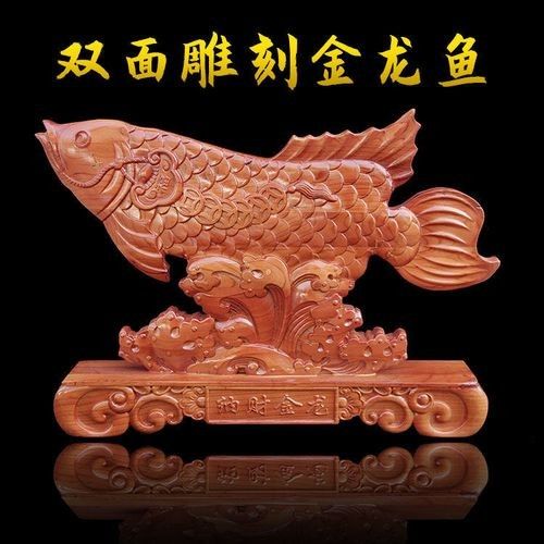 金龍魚美容后如何護理（金龍魚美容后護理是確保其健康和美麗的關鍵步驟以下是一些建議） 金龍魚美容后如何護理（金龍魚美容后護理是確保其健康和美麗的關鍵步驟以下是一些建議） 龍魚百科 第3張