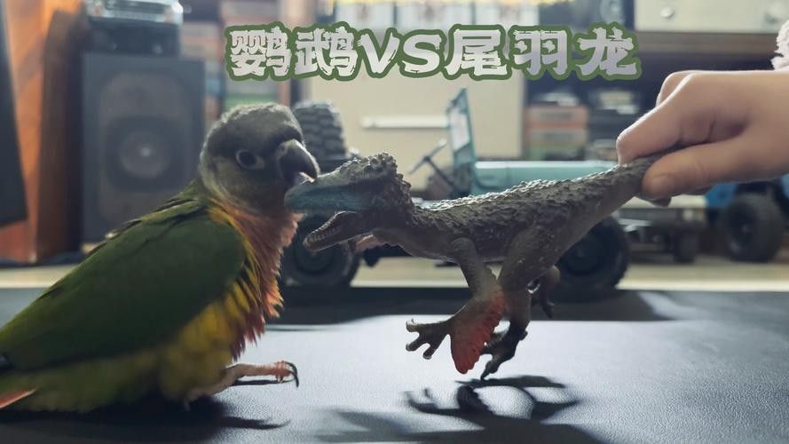 如何減少恐龍魚對孔雀魚的攻擊（如何減少恐龍魚對孔雀魚的攻擊呢？）