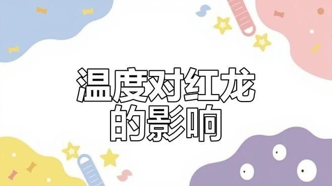 龍魚加溫到多少度最佳（關于龍魚最佳加溫溫度的詳細分析龍魚飼養全攻略） 龍魚加溫到多少度最佳（關于龍魚最佳加溫溫度的詳細分析龍魚飼養全攻略） 龍魚百科 第3張