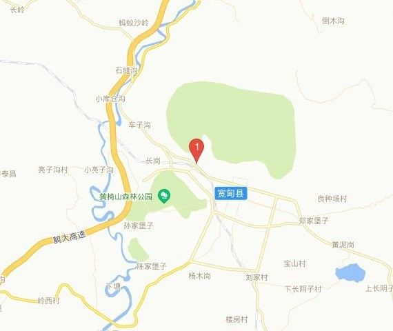 金龍魚批發市場在哪里？（廣州金龍魚批發市場） 金龍魚批發市場在哪里？（廣州金龍魚批發市場） 龍魚百科 第4張