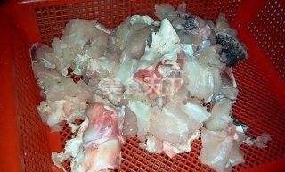 如何制作龍躉魚的無水燜（龍躉魚怎么做？） 如何制作龍躉魚的無水燜（龍躉魚怎么做？） 龍魚百科 第3張