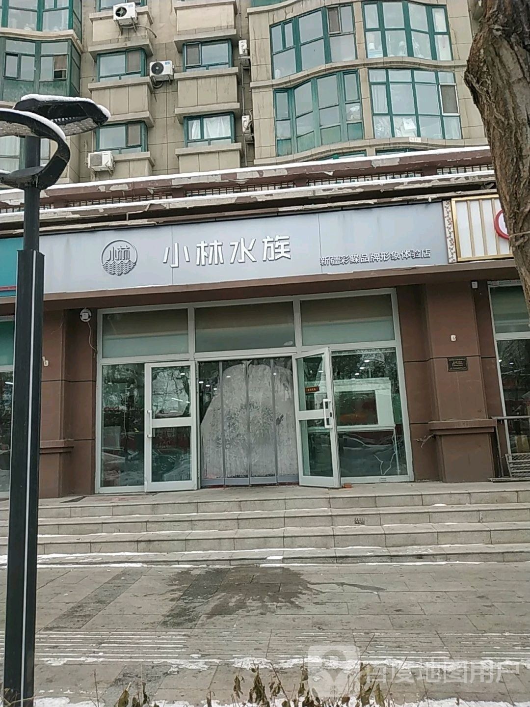 烏魯木齊哪個水族館龍魚好？祥龍魚場龍魚（烏魯木齊市祥龍魚場） 烏魯木齊哪個水族館龍魚好？祥龍魚場龍魚（烏魯木齊市祥龍魚場） 龍魚百科 第4張