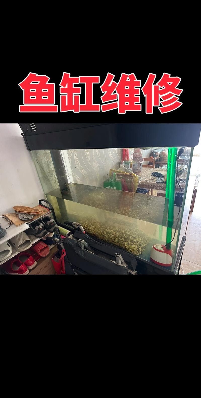 如何聯系凱龍魚缸的維修人員（凱龍魚缸的維修服務如何聯系）