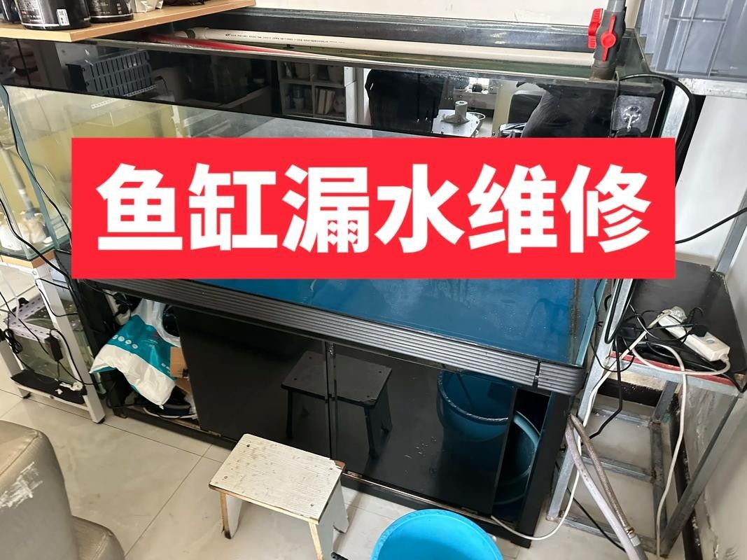 如何聯系凱龍魚缸的維修人員（凱龍魚缸的維修服務如何聯系）