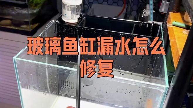 如何聯系凱龍魚缸的維修人員（凱龍魚缸的維修服務如何聯系）