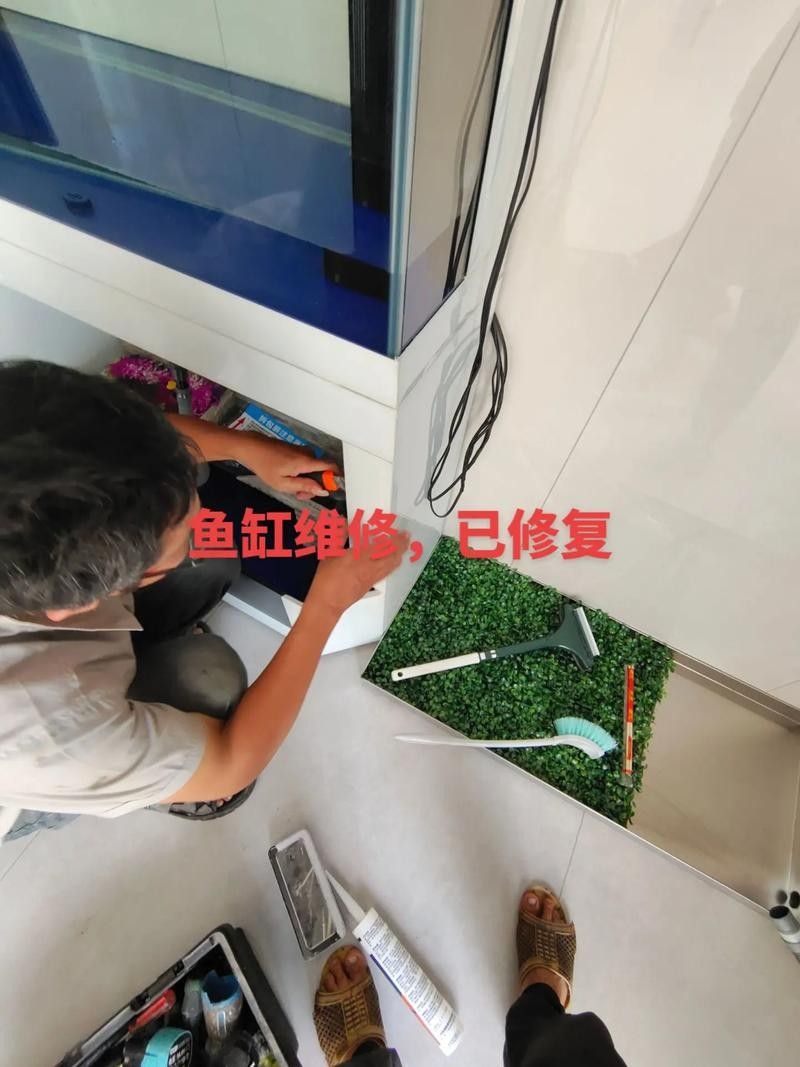 如何聯系凱龍魚缸的維修人員（凱龍魚缸的維修服務如何聯系）