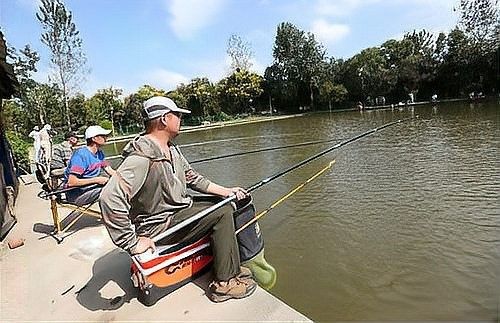 哪些活餌容易攜帶寄生蟲？（這些活餌可能攜帶多種寄生蟲）