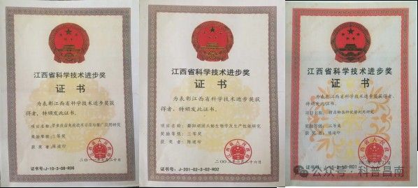 南昌縣哪個水族館龍魚好？祥龍魚場龍魚（南昌縣祥龍魚場是一個值得一游的水族館和龍魚養(yǎng)殖場）
