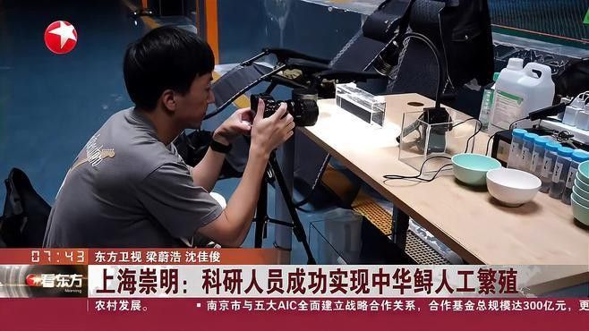 龍魚寄生蟲治療藥物有哪些 龍魚百科 第2張 龍魚寄生蟲治療藥物有哪些 龍魚寄生蟲治療藥物有哪些 龍魚百科 第2張