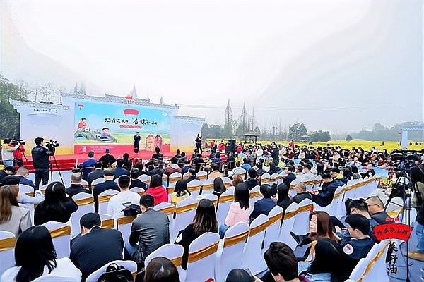 金龍魚的企業使命是什么？