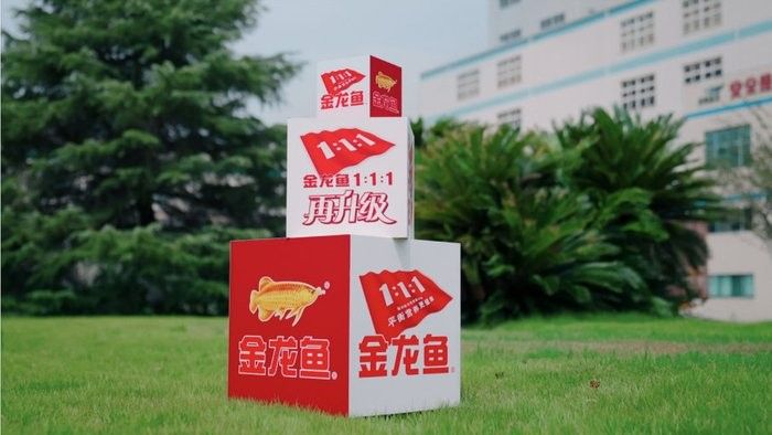 金龍魚的企業使命是什么？