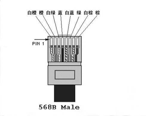 推薦一些龍紋設計工具