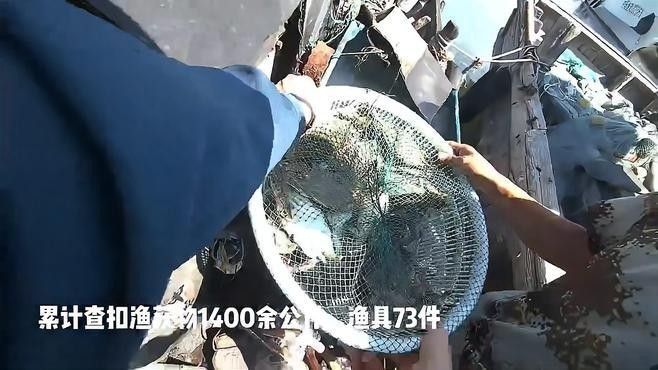 日照市如何應對海龍魚禁令？（日照市對海龍魚的禁令管理） 日照市如何應對海龍魚禁令？（日照市對海龍魚的禁令管理） 龍魚百科 第1張