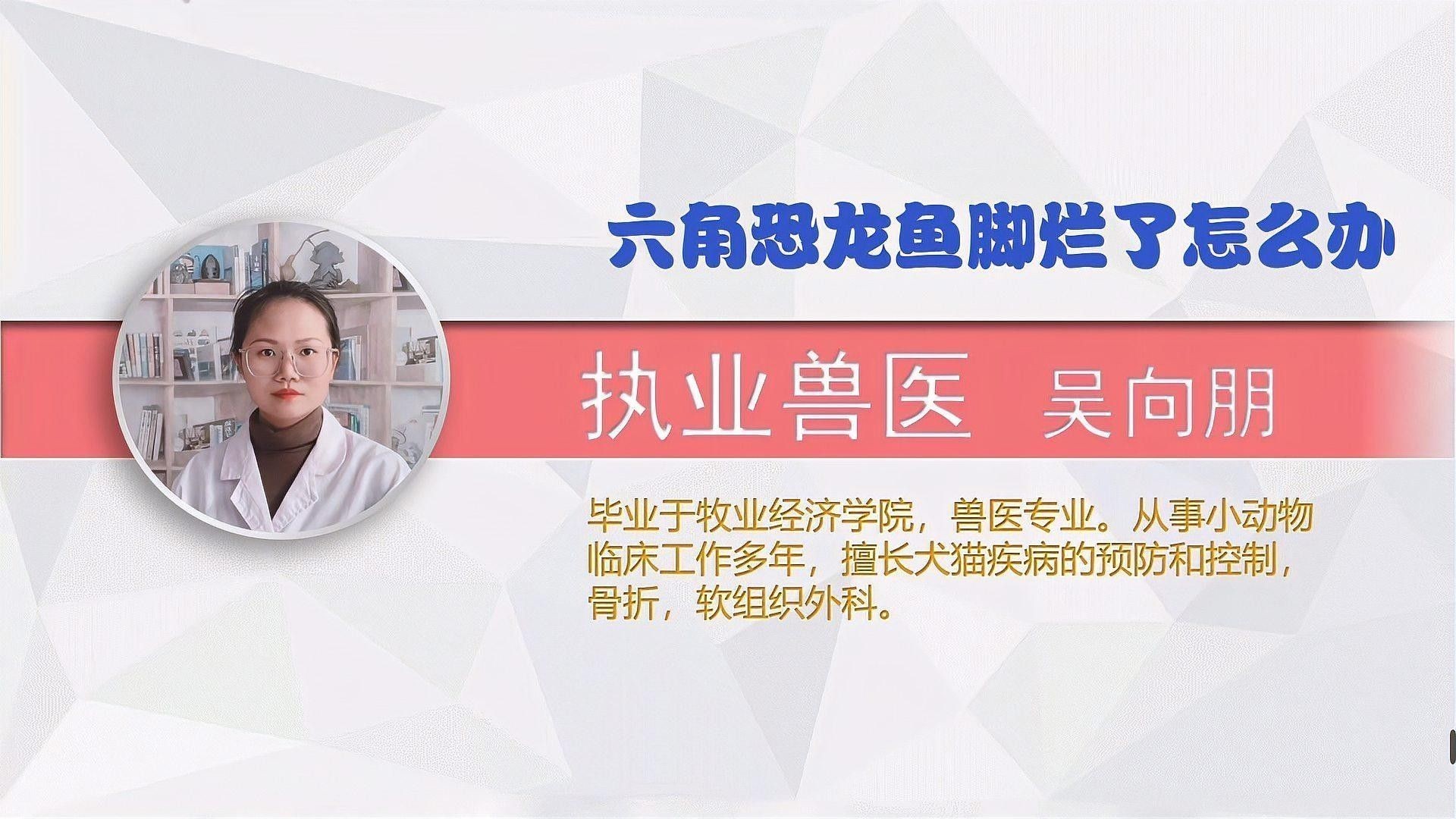 六角恐龍魚爛腳多久會好