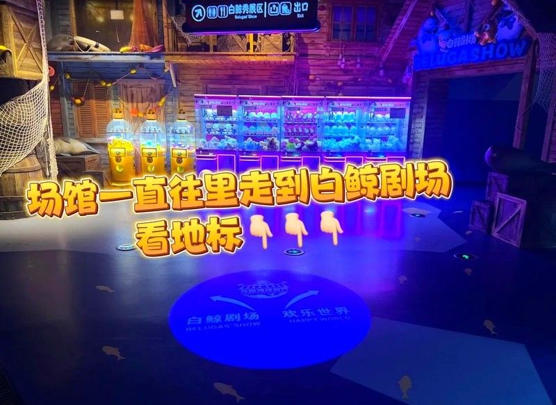 龍宮水族龍魚世界的營業(yè)時(shí)間是（淮安龍宮水族龍魚世界營業(yè)時(shí)間通常是每天10點(diǎn)至下午6點(diǎn)） 龍宮水族龍魚世界的營業(yè)時(shí)間是（淮安龍宮水族龍魚世界營業(yè)時(shí)間通常是每天10點(diǎn)至下午6點(diǎn)） 龍魚百科 第2張