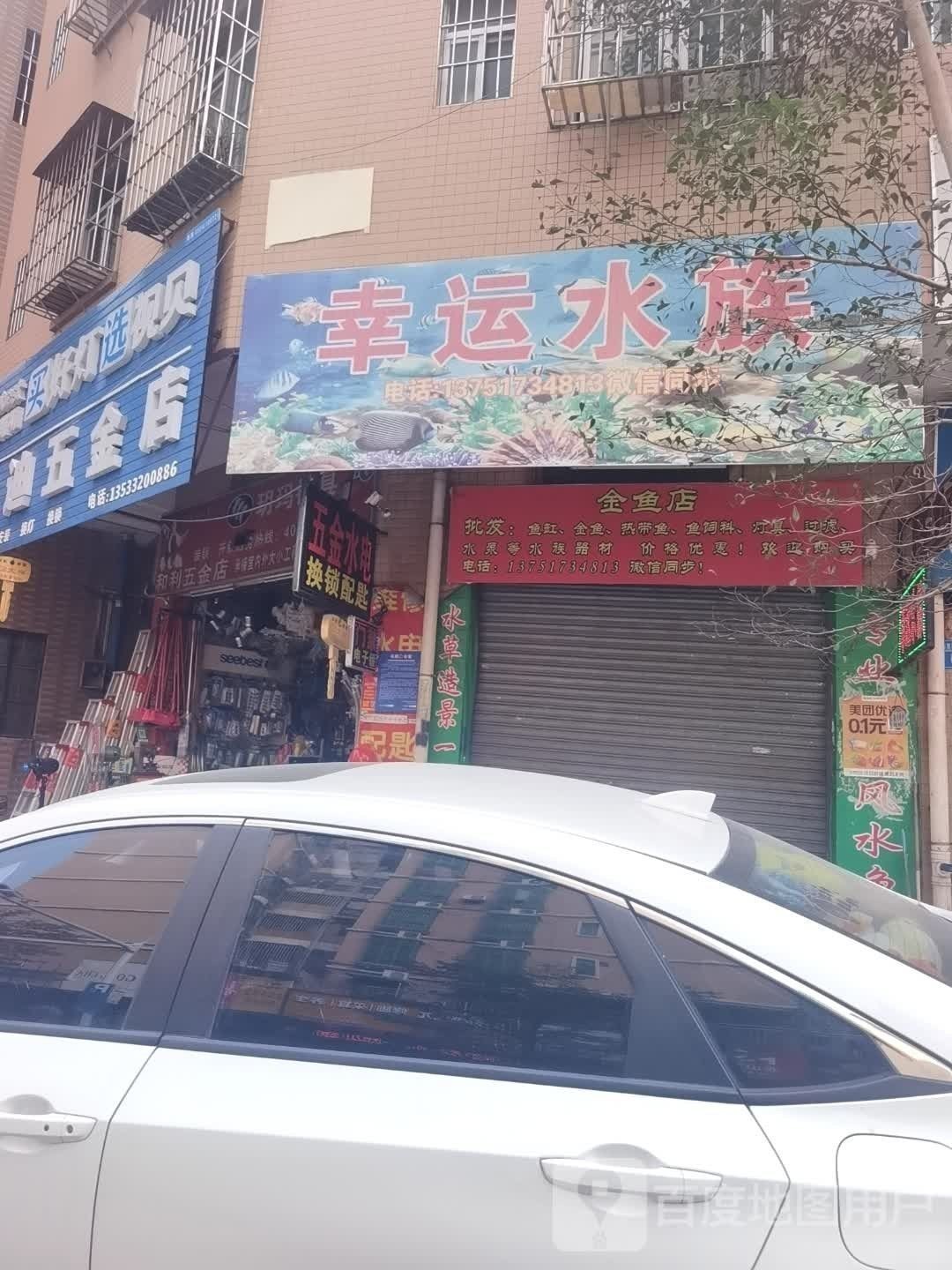 廣州還有哪些賣金龍魚的地方 廣州還有哪些賣金龍魚的地方 龍魚百科 第7張