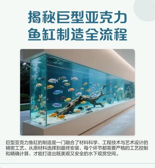 專業(yè)訂制高檔魚缸的口碑如何？