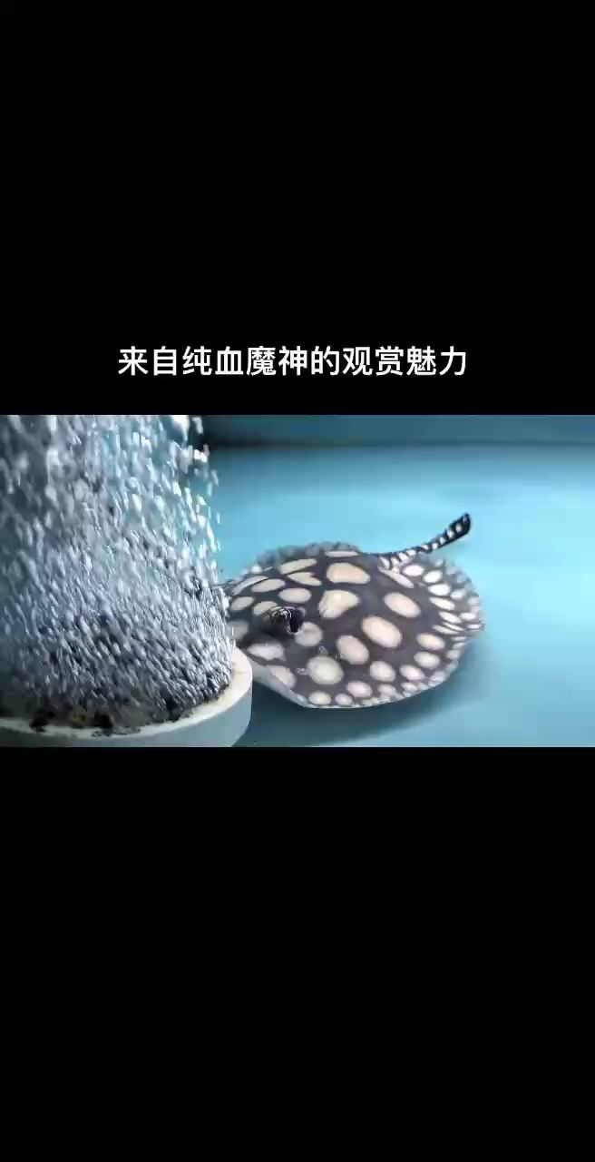 快樂ing ~，定格周末的松弛感??（定格周末的松弛感）