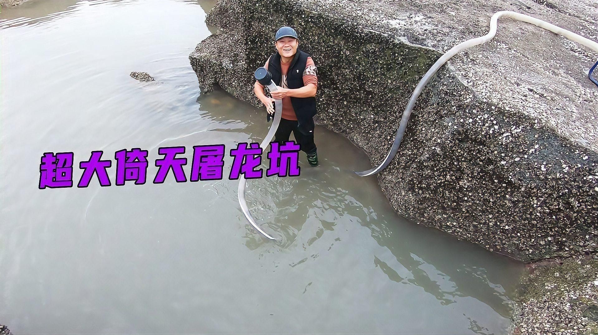 白龍魚吃什么餌料最好（關(guān)于白龍魚的餌料選擇及其相關(guān)注意事項）