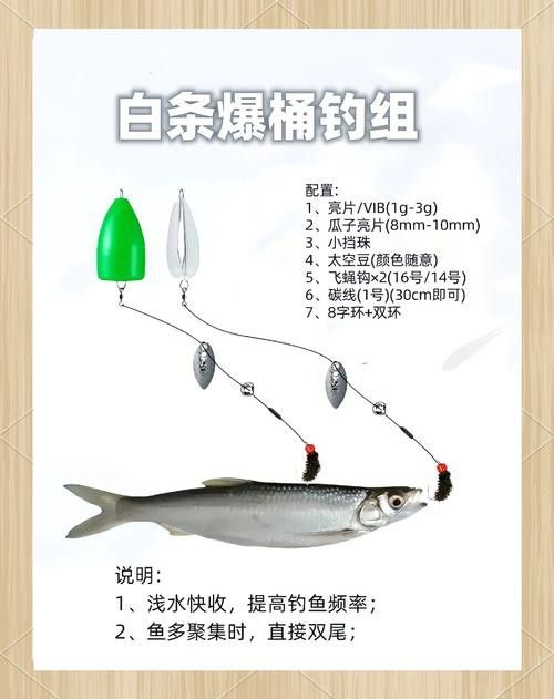 白龍魚吃什么餌料最好（關(guān)于白龍魚的餌料選擇及其相關(guān)注意事項）
