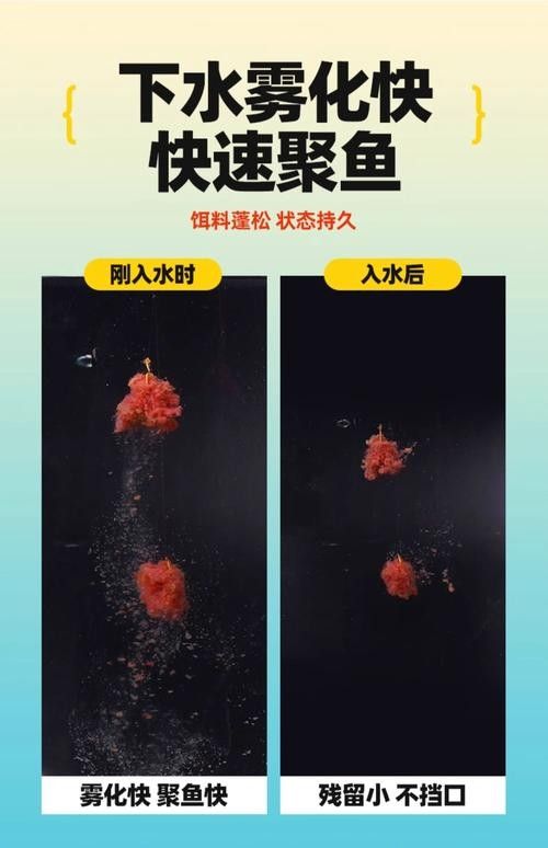 白龍魚吃什么餌料最好（關(guān)于白龍魚的餌料選擇及其相關(guān)注意事項）