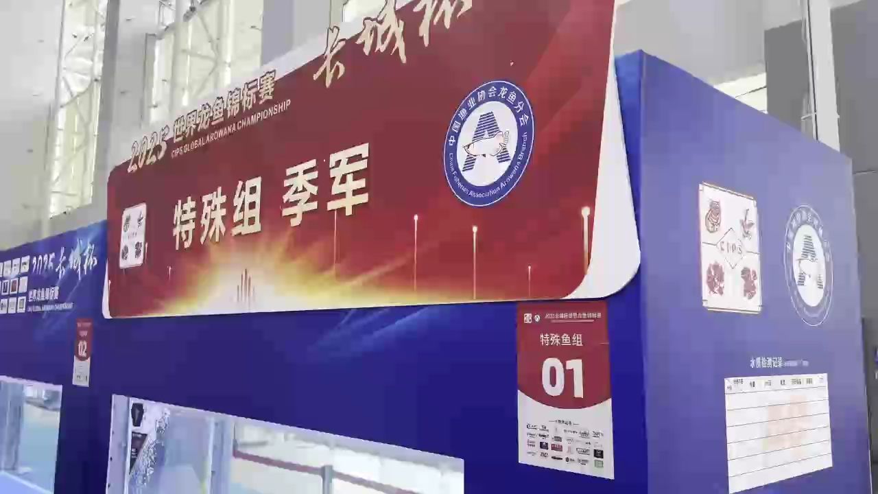 鳳凰龍真的帥（鳳凰龍的美學(xué)美學(xué)魅力）