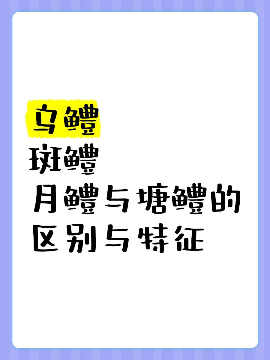 如何區分月鱧和南鱧？（揭秘中國四大原生鱧魚，它們的魅力你了解嗎）