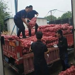 除了以上兩家，還有哪些濟南龍魚交流群或商家（濟南龍魚交流群、商家信息）