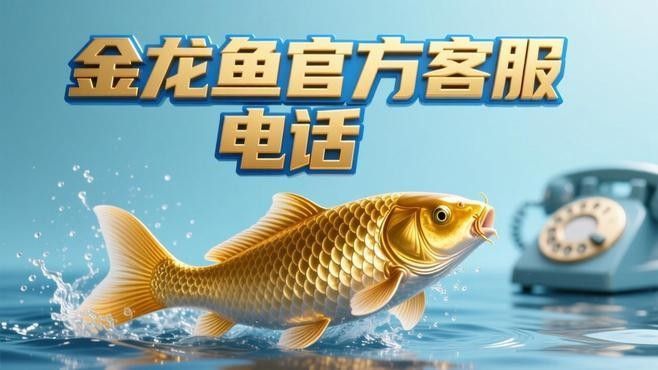 如何聯(lián)系東營金龍魚批發(fā)市場的管理方？（東營金龍魚批發(fā)市場管理方式）