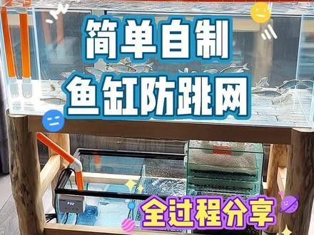 六角恐龍魚缸需要加蓋嗎（六角恐龍魚缸是否需要加蓋）