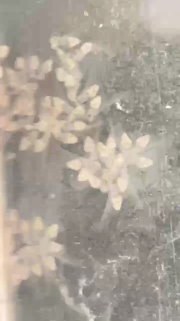 危險（危險的本質是什么）