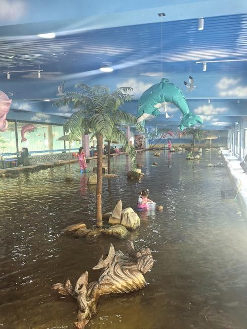 達(dá)茂旗哪個(gè)水族館龍魚好？祥龍魚場龍魚（廣州達(dá)茂旗哪個(gè)水族館的龍魚性價(jià)比最高達(dá)茂旗哪個(gè)水族館） 達(dá)茂旗哪個(gè)水族館龍魚好？祥龍魚場龍魚（廣州達(dá)茂旗哪個(gè)水族館的龍魚性價(jià)比最高達(dá)茂旗哪個(gè)水族館） 龍魚百科 第1張