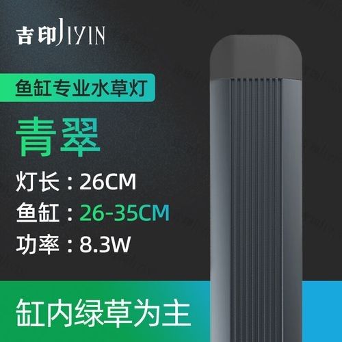 雷龍魚造景需要哪些燈具？（雷龍魚造景燈具選擇）